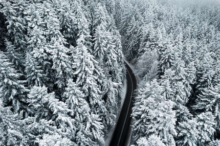 Curvy Winding Winter Road in Forest.の写真素材