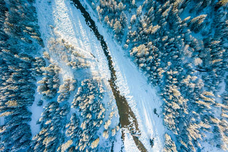 Frozen River in Snow Covered Spruce Forest. Winter Season. Drone View.
