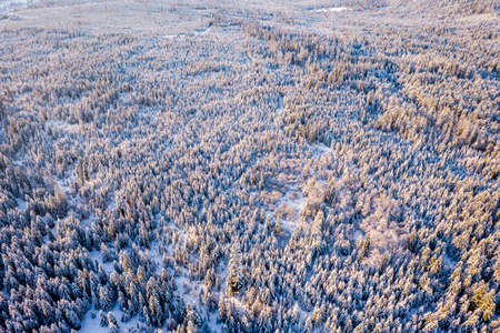 Snowy Winter Landscape. Drone View.