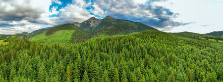 Green forest and Tatras Mountains in summer. Drone Panorama.