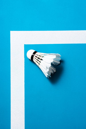 Badminton game background, feather shuttlecock on court line.の写真素材