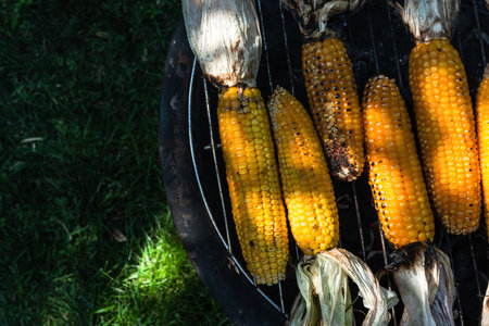 Corncob whole organic corn on grill .の写真素材