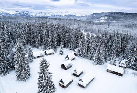 Man walk dog in winter forest and snowy mountains.