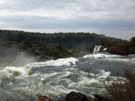 butterfly in the jungle missions iguazu fallsの写真素材