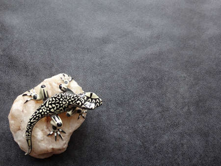 iguana on rock in textured backgroundの写真素材