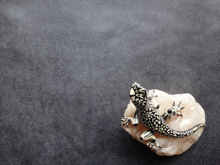 iguana on rock in textured backgroundの写真素材
