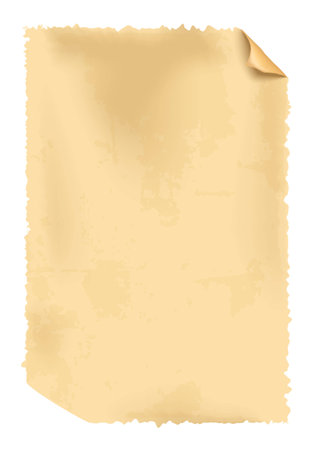 Realistic vector old paperのイラスト素材