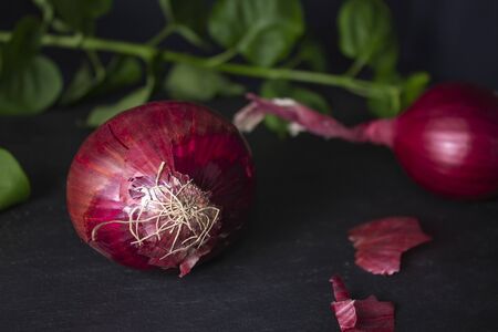 Close-up two purple onions on black slate and a green branch on the background. Back part of the...