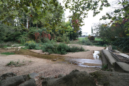 A view of a river flowing through the woods in a park, in the park of Sant Salvador in Santa Coloma de Farners in Cataloniaの写真素材