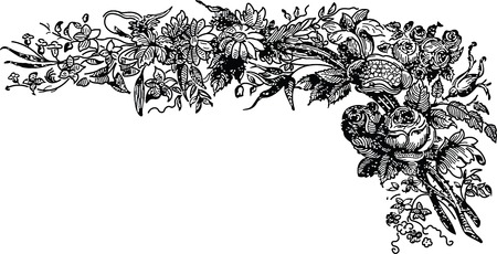 floral design elementsのイラスト素材