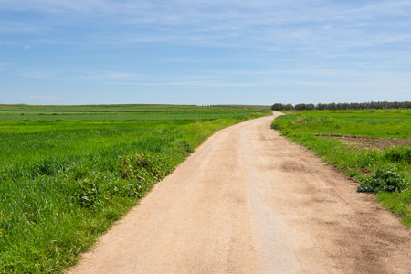 Rural dirt road between green meadows on spring day with blue sky. Extremadura, Spain.の写真素材