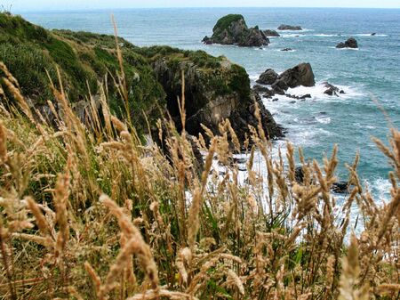 View from on top of a cliff looking out towards the ocean, at Cape Foul Wind, New Zealand