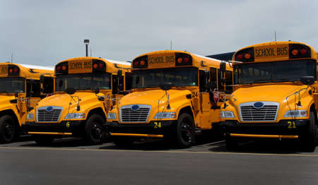 A single row of school buses, front view, in the summertime in the middle of the day