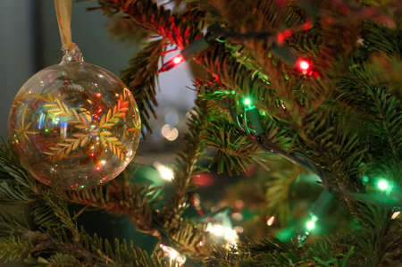A see through holiday bulb or ball handing from the Christmas tree, to the leftの写真素材