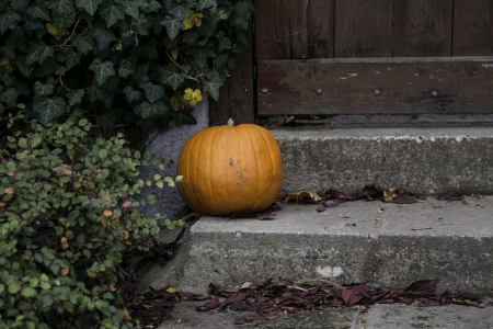 Hallowen Pumpkinの写真素材