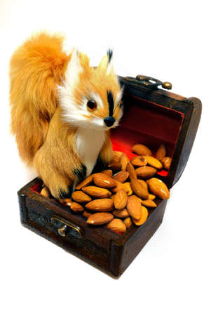 Little squirrel sitting on shest whith almonds isolated over white.の写真素材