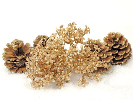 pine cones decorationの写真素材