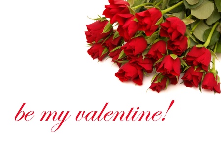 red roses withe the message be my valentine isolated on white backgroundの写真素材
