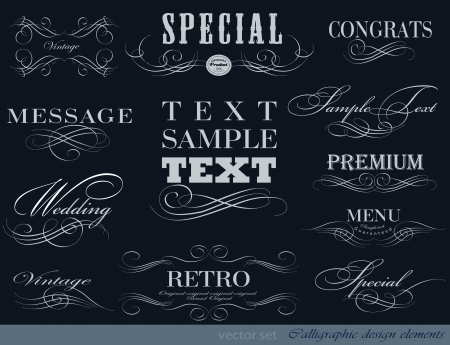 calligraphic design elements and page decoration/ vector setのイラスト素材
