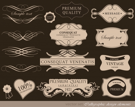 calligraphic design elements and page decoration  vector setのイラスト素材