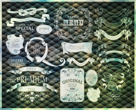 calligraphic design elementsのイラスト素材