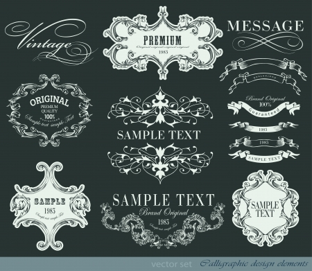 calligraphic design elements and page decoration/ vector setのイラスト素材