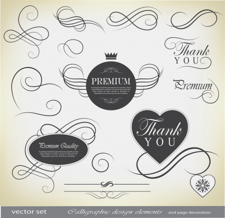 calligraphic design elements and page decorationのイラスト素材