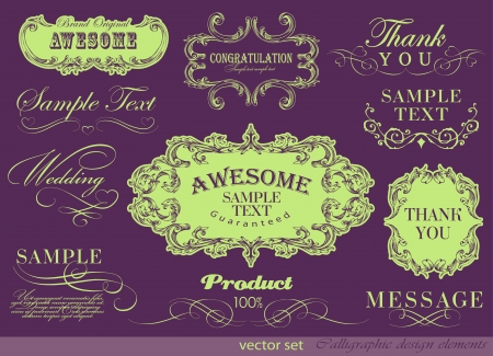 calligraphic design elements, page decoration and labelsのイラスト素材