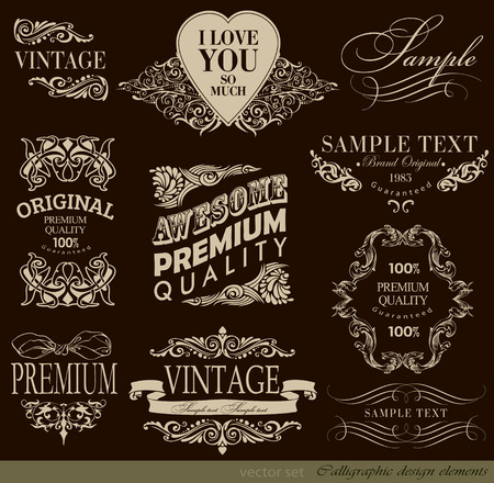 calligraphic design elements and page decoration/ vector setのイラスト素材