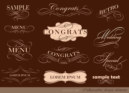 calligraphic design elements and page decoration/ vector setのイラスト素材