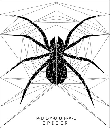 Polygonal spiderのイラスト素材