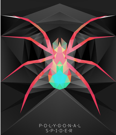 Polygonal spider. Geometric  illustration. Polygonal creative poster. low poly illustrationのイラスト素材