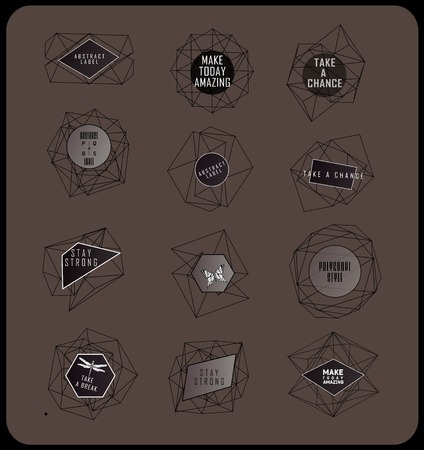 Abstract polygonal label design. Elements of astronomy and constellation. Cosmic style. . low poly illustrationのイラスト素材