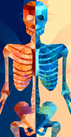 Polygonal skeleton. low poly illustration. Polygonal creative posterのイラスト素材