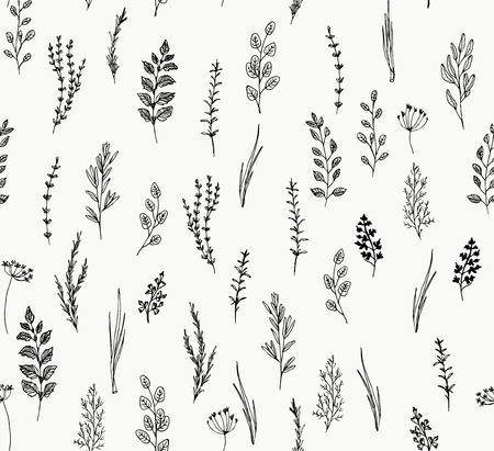 Hand drawn seamless pattern of culinary herb. Hand drawn set of culinary herb. Basil and mint, rosemary and sage, thyme and parsley. Food design logo elementsのイラスト素材