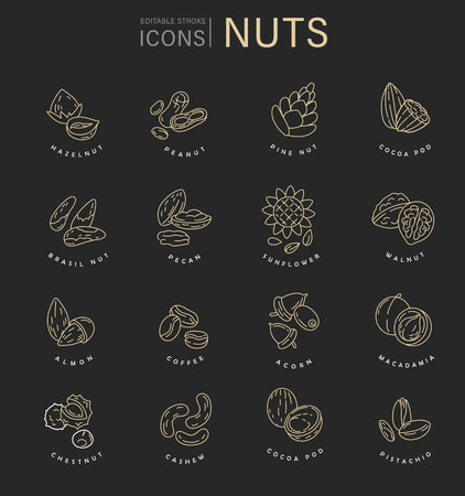 Vector icon and logo for nuts and seeds. Editable outline stroke size. Line flat contour, thin and linear design. Simple icons. Concept illustration. Sign, symbol, element.のイラスト素材