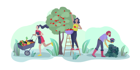 Harvesting and gardening people doing farming and garden job, pick berries, remove weeds, watering, planting, growing and transplant sprouts, lay ripe vegetables to box. Reaping crop conceptのイラスト素材