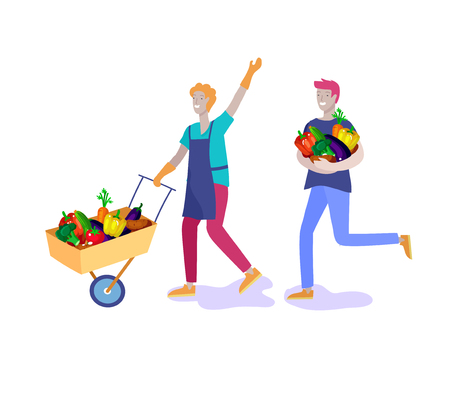 Harvesting and gardening people man doing farming and garden job, lay ripe vegetables to box. Reaping crop conceptのイラスト素材