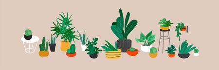 Potted plants collection. Urban jungle, trendy home decor with plants, cactus, tropical leaves. Set of house indoor plant vector hand drawn cartoon illustrationのイラスト素材