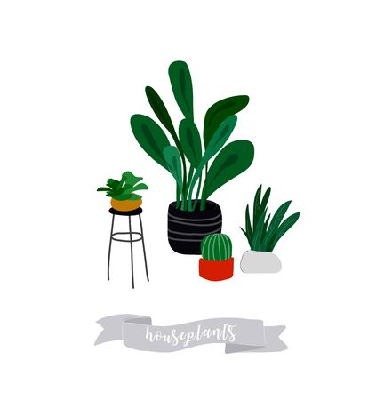 Potted plants collection. Urban jungle, trendy home decor with plants, cactus, tropical leaves. Set of house indoor plant vector hand drawn cartoon illustrationのイラスト素材
