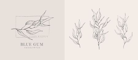Eucalyptus blue gum and branch. Hand drawn wedding herb, plant and monogram with elegant leaves for invitation save the date card design. Botanical rustic trendy greenery vector illustrationのイラスト素材