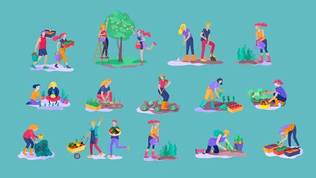 Harvesting and gardening people doing farming and garden job, pick berries, remove weeds, watering, planting, growing and transplant sprouts, lay ripe vegetables to box. Reaping crop conceptのイラスト素材