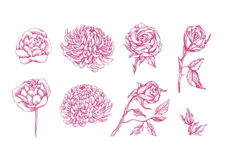 Beautiful flowers set, hand drawn art. Decorative floral elementsのイラスト素材