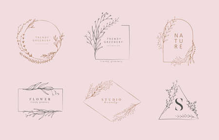 Set of inimal feminine botanical floral branch. Hand drawn wedding herb, homeplant with elegant leaves. Botanical rustic trendy greenery vectorのイラスト素材