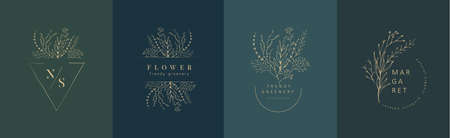 Set of inimal feminine botanical floral branch and logo. Hand drawn wedding herb, homeplant with elegant leaves. Botanical rustic trendy greenery vectorのイラスト素材