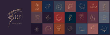 Minimal feminine botanical floral branch . Hand drawn wedding herb, homeplant with elegant leaves. Botanical rustic trendy greeneryのイラスト素材