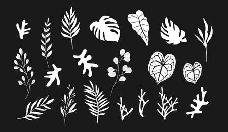 Floral tropical branch of plant in silhouette style. Hand drawn elegant exotic leaves for invitation save the date card design. Botanical trendy greenery vector illustrationのイラスト素材