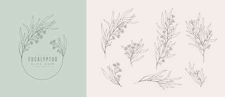 Blue gum Eucalyptus  and floral branch. Hand drawn wedding herb, plant and monogram with elegant leaves for invitation save the date card designのイラスト素材