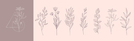 Floral branch and minimalist flowers  . Hand drawn line wedding herb, elegant leaves for invitation save the date card. Botanical rustic trendy greeneryのイラスト素材