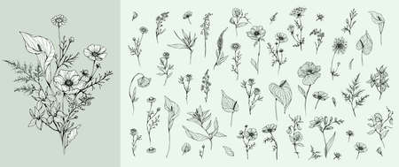 Trendy floral branch and minimalist flowers for logo or decorations. Hand drawn line wedding herb, elegant leaves for invitation save the date card. Botanical rustic trendy greeneryのイラスト素材